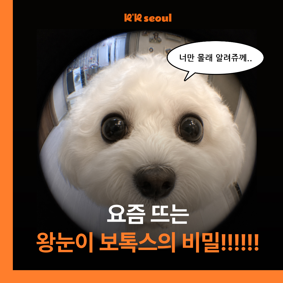 크크서울의원 왕눈이 보톡스 강남 보톡스 잘하는 병원